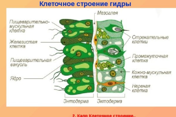 Kraken 12 at сайт