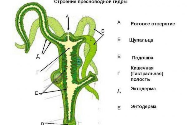 Угнали аккаунт кракен