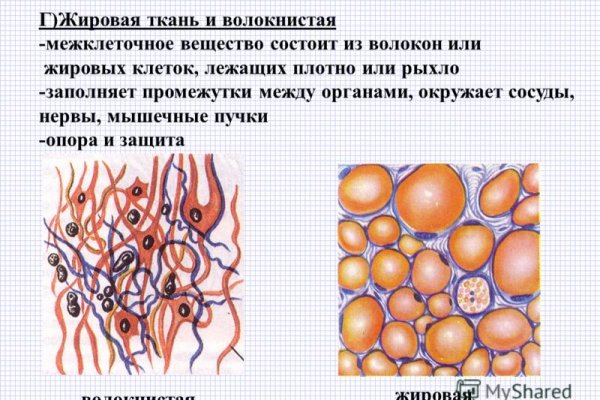 Ссылка на кракен тор магазин